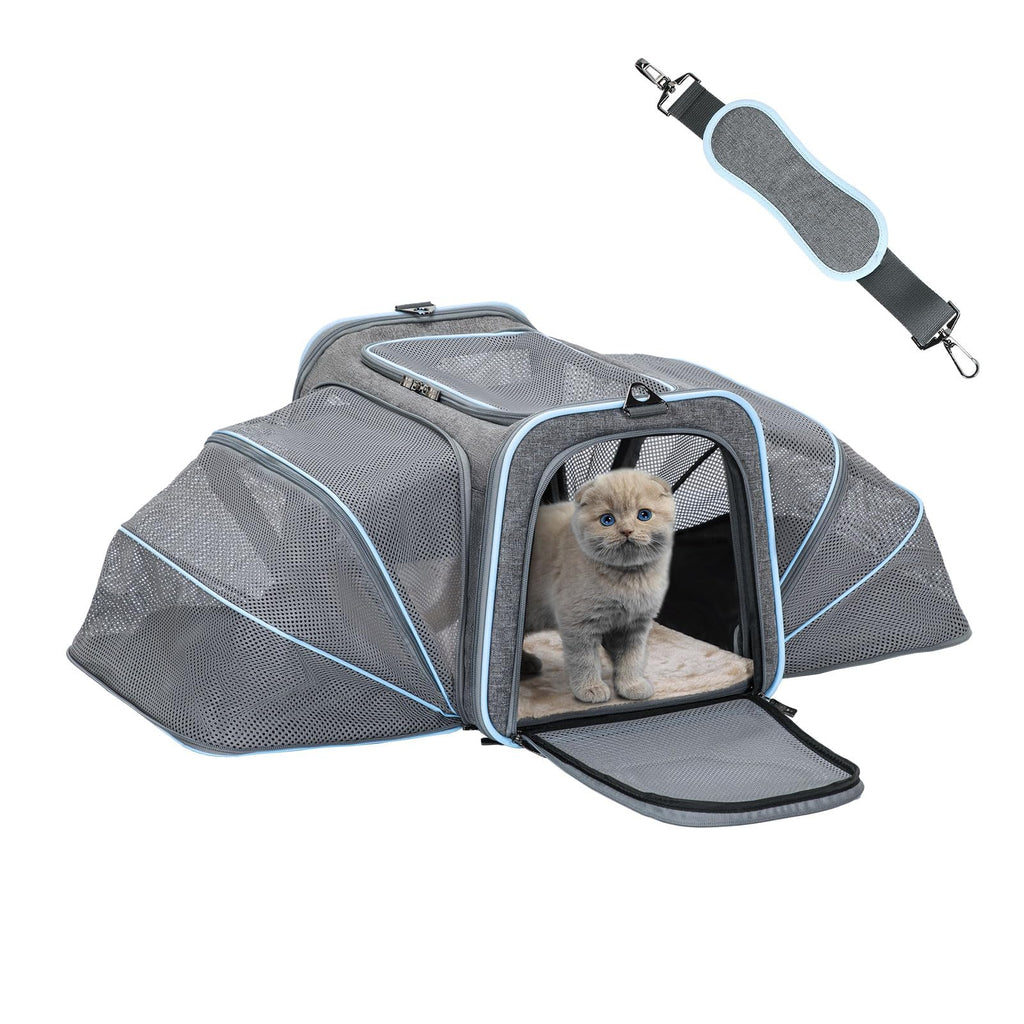 Petsfit Expandable Cat Carriers Airline Approved 16"x10"x9" Small Dog Carrier Soft-Sided Portable Washable Pet Travel Carrier with Two Extension for KittenRabbit Puppy Small Animal