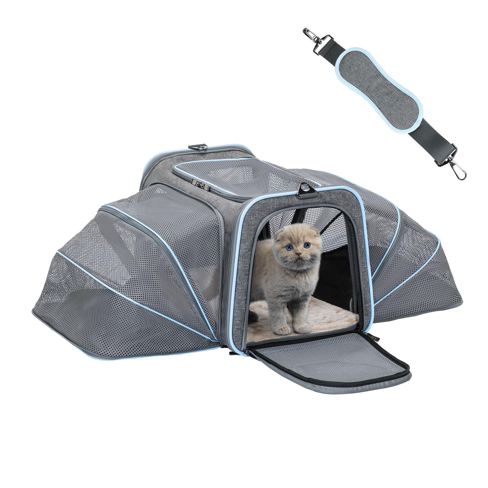 Petsfit Expandable Cat Carriers Airline Approved 16"x10"x9" Small Dog Carrier Soft-Sided Portable Washable Pet Travel Carrier with Two Extension for KittenRabbit Puppy Small Animal