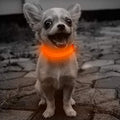 Candofly Reflective LED Dog Collar - Light Up Dog Collar USB Rechargeable Puppy Collar Nylon Dog Glow Collar Dog Lights for Night Walking & Camping (X-Small Orange)