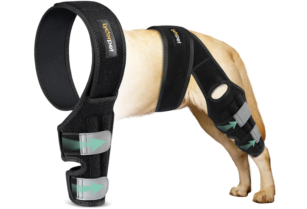 Lyderpet Dog Knee Brace for Torn ACL Hind Leg ACL Brace for Dogs Rear Leg with Side Stabilizers Strong Support to Reduce Joint Pain and Muscle Sore for Back Leg